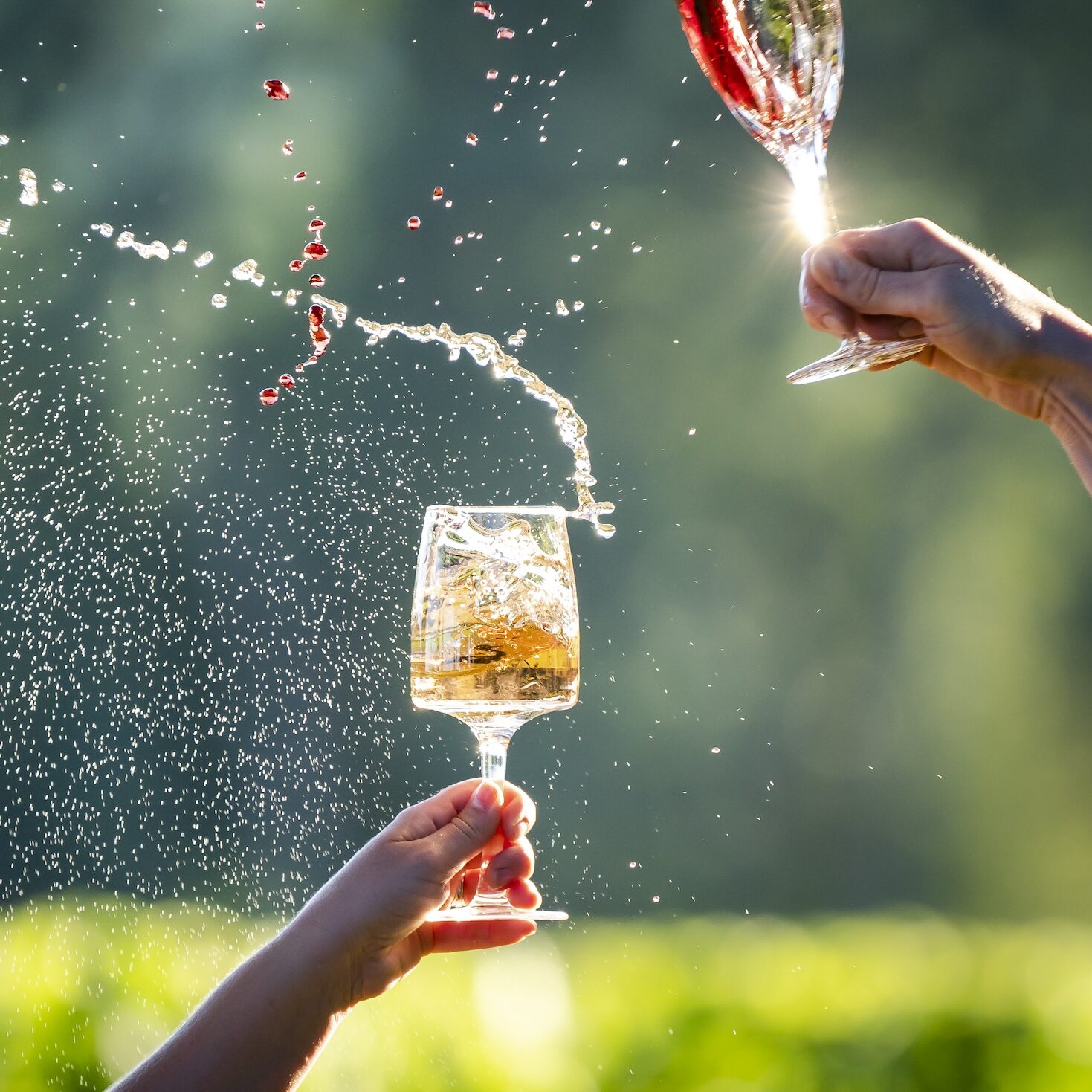 Domaine Lumineux wine cheers